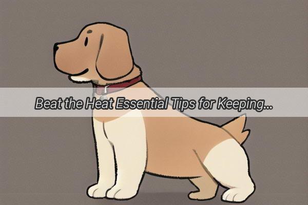 Beat the Heat Essential Tips for Keeping Your Puppy BugFree This Summer